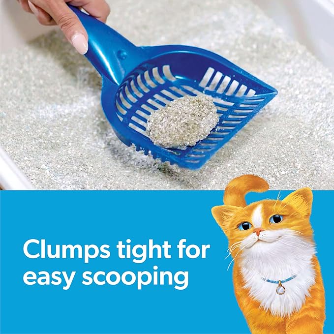 Fresh Step Clumping Cat Litter, Extreme, Long Lasting Odor Control Kitty Litter with Activated Charcoal, Low Dust Formula, 14 lb