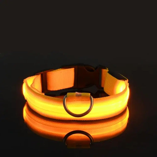 Load image into Gallery viewer, Flashing Glow Dog Collar
