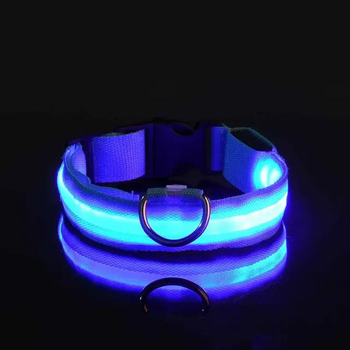 Load image into Gallery viewer, Flashing Glow Dog Collar
