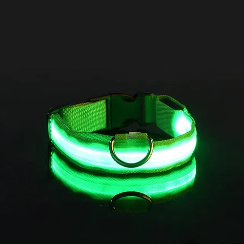 Load image into Gallery viewer, Flashing Glow Dog Collar
