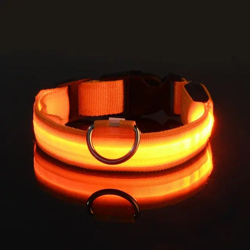 Load image into Gallery viewer, Flashing Glow Dog Collar
