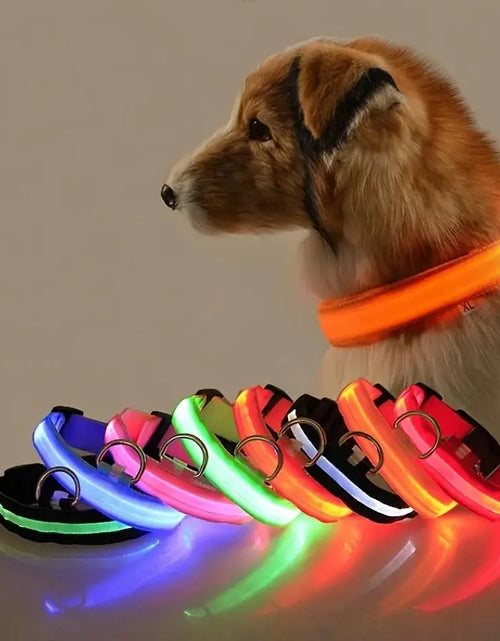 Load image into Gallery viewer, Flashing Glow Dog Collar
